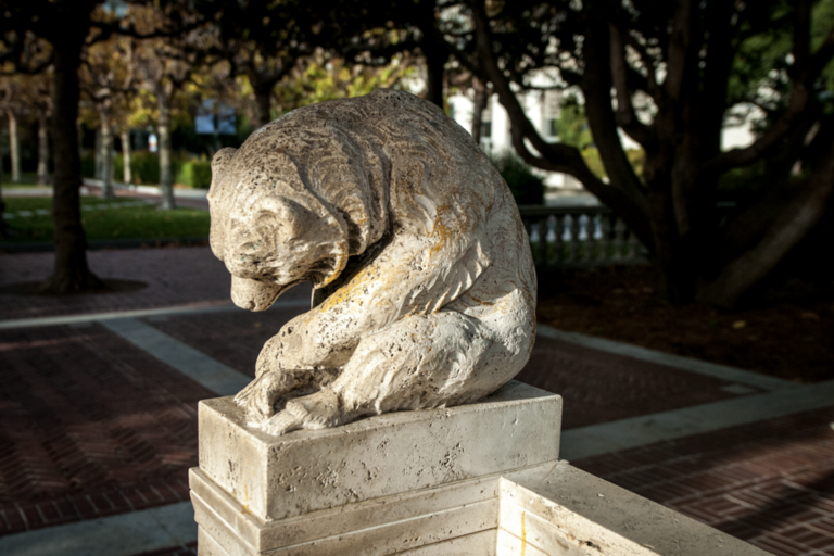 Bear Pillar