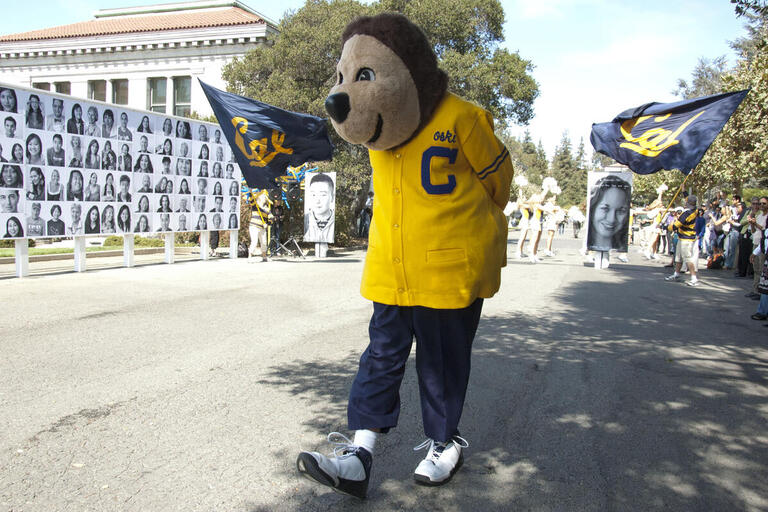 Oski Bear